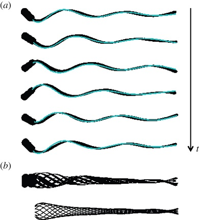 Illustration for article titled Scientists Can Now Make Fake Sperm SwimÂ